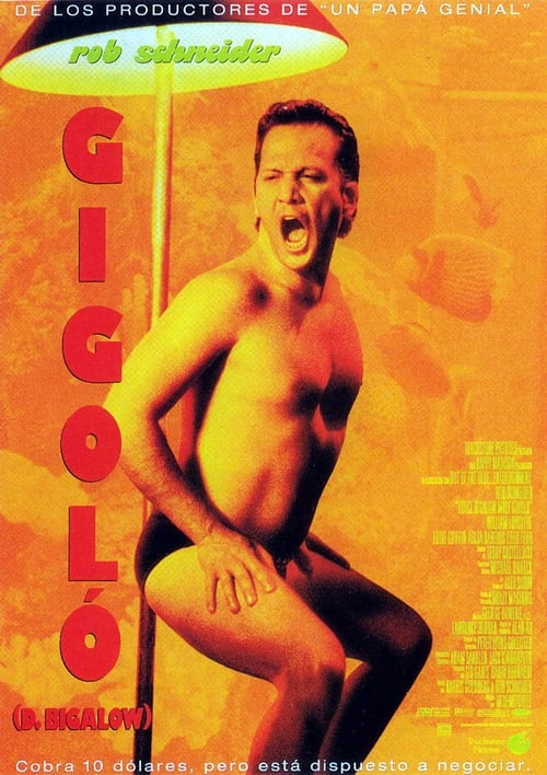 Poster de Gigoló por accidente