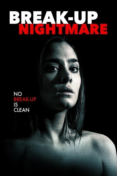 Poster de Acosada en la red