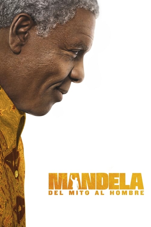 Poster de Mandela: Long Walk to Freedom