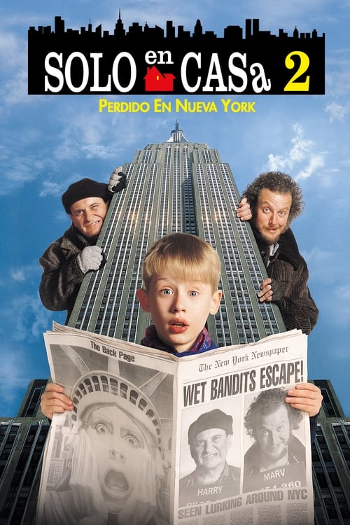 Poster de Mi pobre angelito 2: Perdido en Nueva York