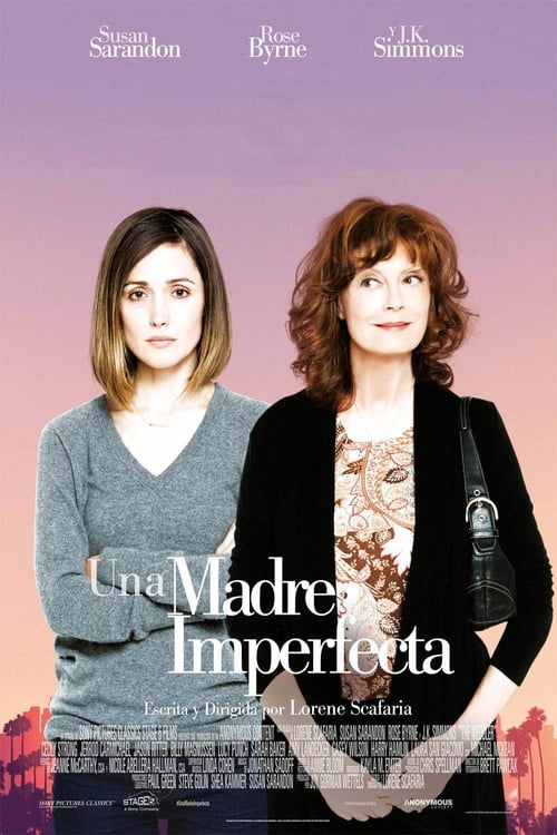 Poster de The Meddler