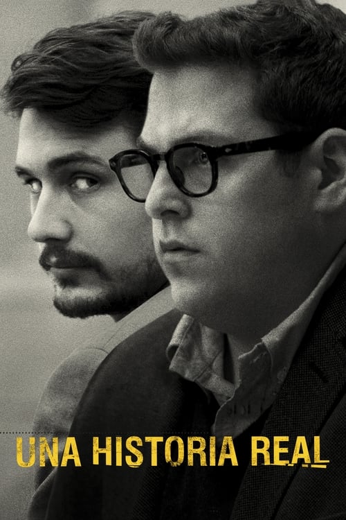 Poster de Falsa Identidad