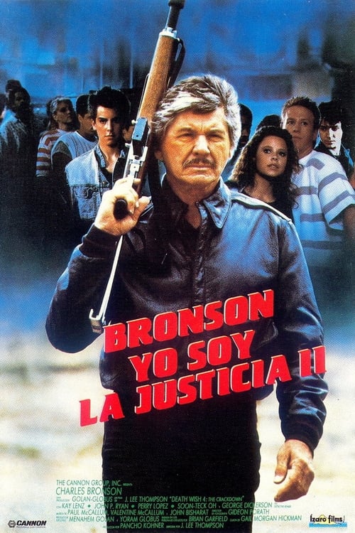 Poster de El vengador anónimo 4: El regreso del justiciero