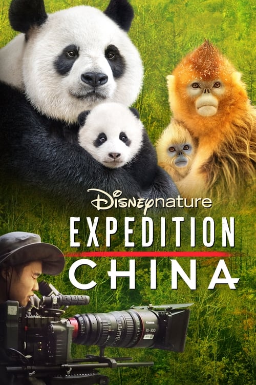 Poster de Expedición a China
