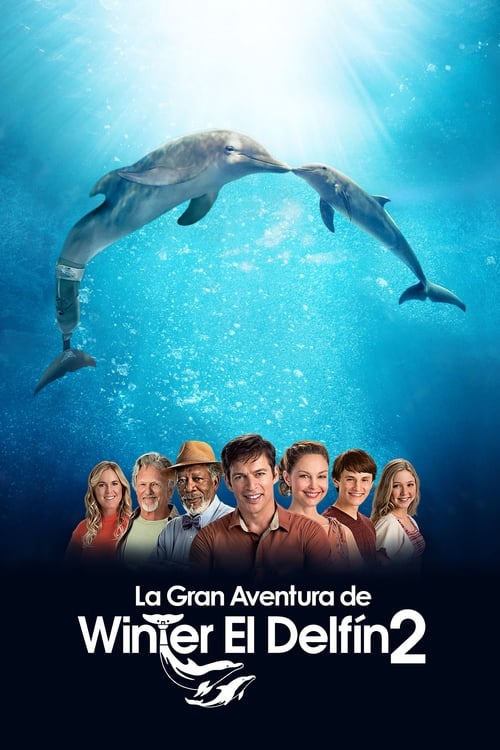 Poster de Winter el Delfín 2