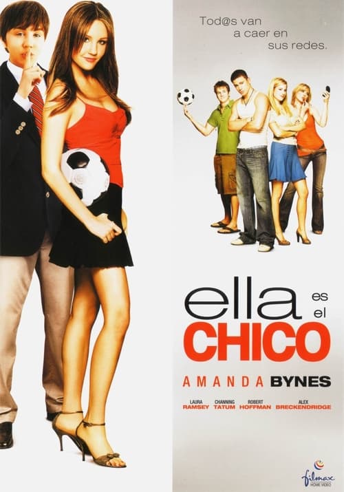 Poster de Una chica en apuros
