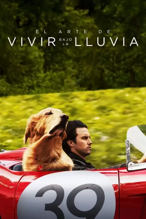 Poster de Mi Amigo Enzo