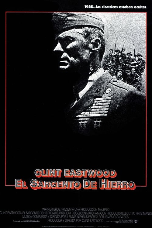 Poster de El guerrero solitario
