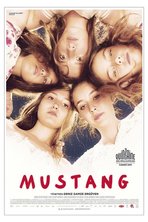 Poster de Mustang: Belleza Salvaje