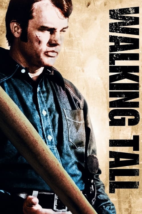 Poster de El orgullo de un comisario