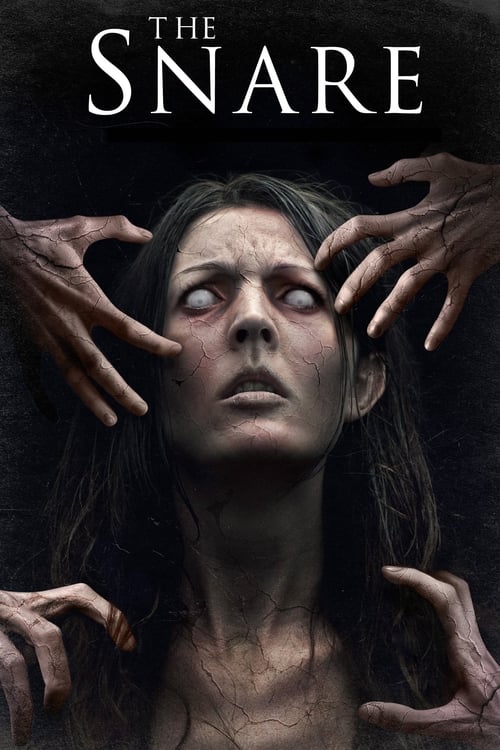 Poster de La trampa