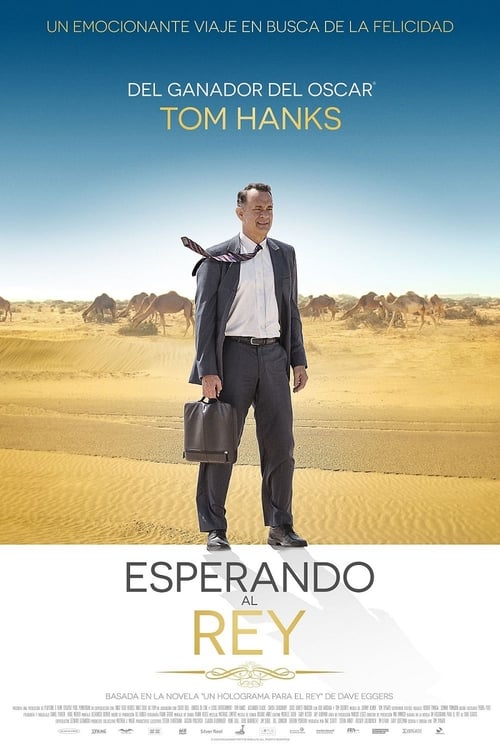 Poster de Un holograma para el rey