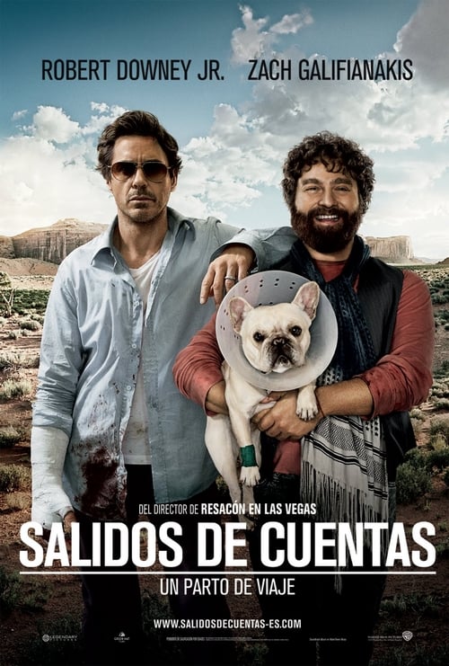 Poster de Todo un parto