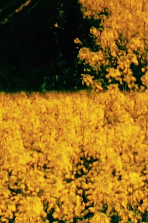 Poster de Seven Landscapes