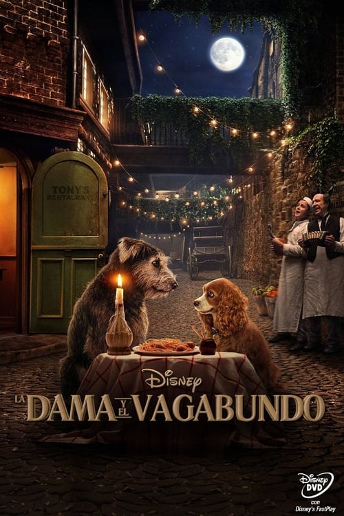 Poster de La Dama y el Vagabundo