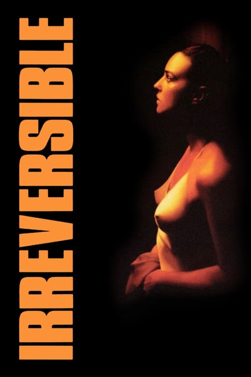 Poster de Irreversible