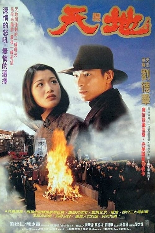 Poster de 天與地