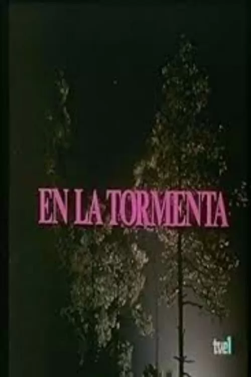 Poster de En la tormenta