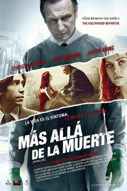 Poster de Después de la vida