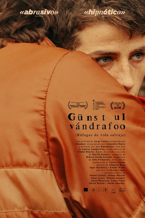 Poster de Günst ul vándrafoo (Ráfagas de vida salvaje)