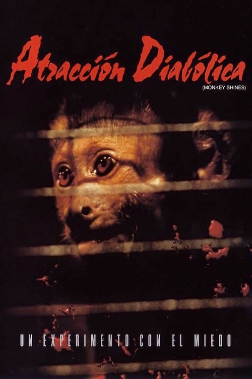 Poster de Atracción diabólica