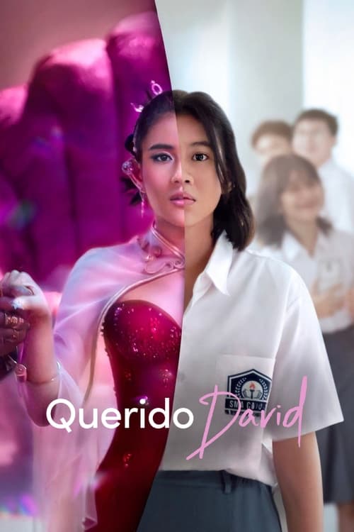Poster de Querido David