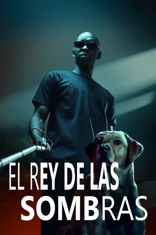 Poster de El rey de las sombras