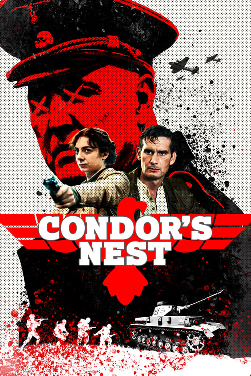 Poster de Condor's Nest