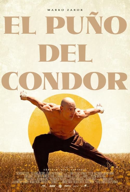 Poster de El puño del cóndor