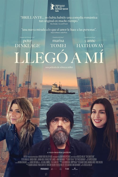 Poster de Llegó a mi