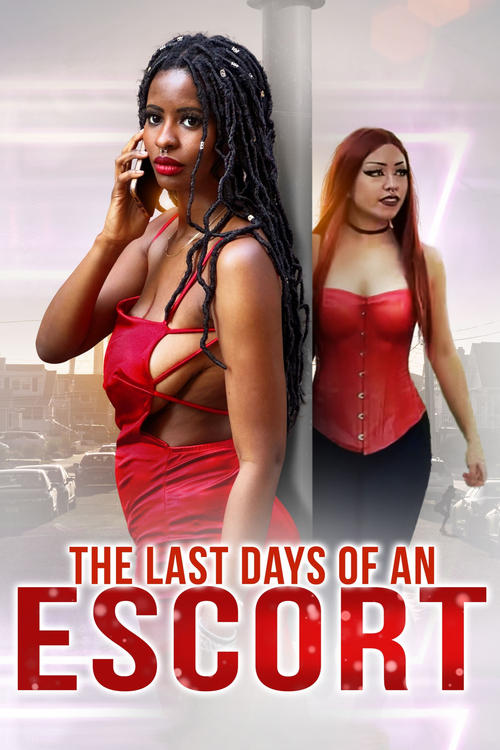 Poster de The Last Days of an Escort