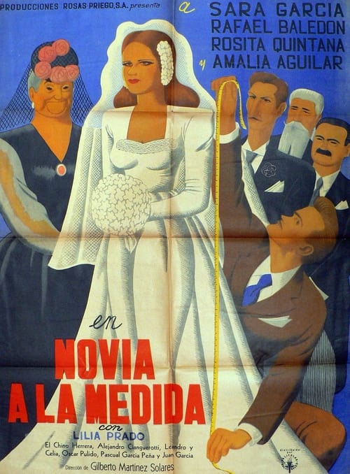 Poster de Novia a la medida