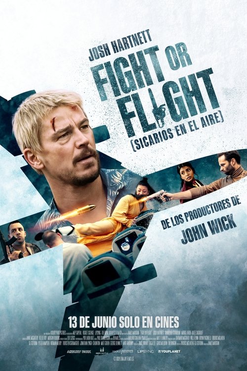 Poster de Fight or flight (sicarios en el aire)
