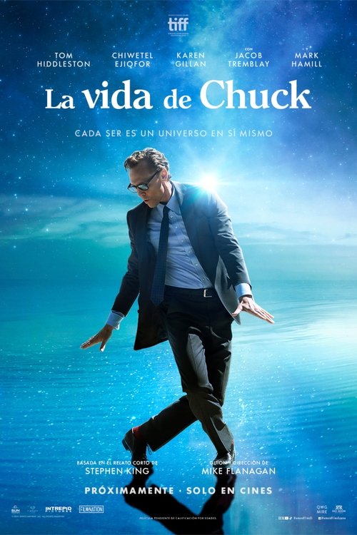 Poster de La vida de Chuck