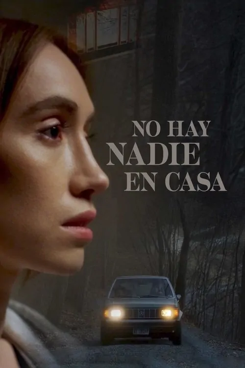 Poster de No hay nadie en casa